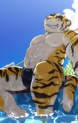 1boy 2021 anthro barazoku bulge clothing felid fur genital_outline hi_res kemono kotori male male_only mammal morenatsu muscular muscular_male nipples outside pantherine penis_outline sitting solo speedo swimwear tiger torahiko_(morenatsu) video_games visual_novel water white_body white_fur yellow_body yellow_fur