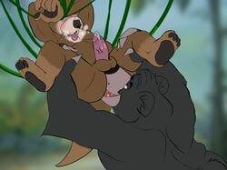 2021 anal anthro balls baloo black_body black_fur bound brown_body brown_fur debudraws duo erection fur genitals hi_res lutrine male male/male mammal mustelid oral overweight overweight_male penis rimming sex the_jungle_book ursid