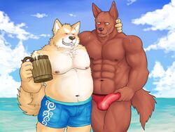 4:3 alcohol anthro balls_outline barazoku beer belly beverage blush brown_body brown_fur bulge canid canine canis clothing detailed_bulge domestic_dog duo fur furry genital_outline hi_res hug humanoid_hands kemono male male/male mammal meguru_salmon moobs muscular muscular_male navel nipples outside overweight overweight_male penis_outline swimwear water