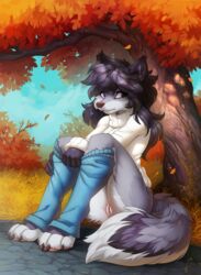 4_toes 5_fingers anthro autumn barefoot barely_visible_breasts biped bottomless breasts canid claws clothed clothing enfield feet female fingers fluffy fluffy_tail fur furry furry_only genitals hair hi_res hioshiru hioshiru_(character) legwear long_hair looking_away mammal multicolored_body multicolored_fur outside pants_down partially_clothed plant public purple_eyes pussy shy sitting solo sweater tail toe_claws toeless_legwear toes topwear tree undressing white_body white_fur