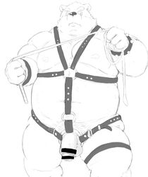 2021 anthro balls belly bondage bondage bound censored flaccid genitals hachirouta harness hi_res humanoid_hands kemono leather male mammal monochrome moobs nipples overweight overweight_male penis simple_background solo ursid white_background