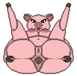 anthro anus ass big_butt breasts chubby_female domestic_pig facial_piercing female fingers freckles genitals hooved_fingers hooves mammal nipples nose_piercing piercing pink_body plump_labia presenting presenting_anus presenting_pussy puffy_anus pussy slightly_chubby solo suid suina sus_(pig) tongue tongue_out toridiaz