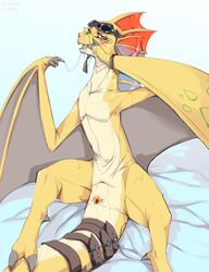 absurd_res adine_(angels_with_scaly_wings) angels_with_scaly_wings animal_genitalia anthro anus blood bodily_fluids dragon female feral genitals hi_res horizontal_pussy nosebleed presenting presenting_anus pussy saliva solo stercore_murum sweat video_games visual_novel wyvern