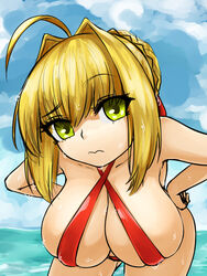 nero claudius (fate) from fate (series) by steamingtofu