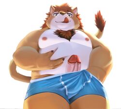 2021 aipangpangdeyua anthro belly clothing erection felid genitals hi_res humanoid_genitalia humanoid_hands humanoid_penis kemono lion male mammal moobs nipples overweight overweight_male pantherine penis simple_background solo tongue tongue_out underwear white_background