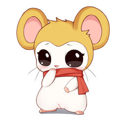 blush cricetid female feral flong fur furry furry_only genitals hamster hamtaro_(series) hi_res looking_at_viewer mammal pashmina_(hamtaro) pussy rodent simple_background solo standing