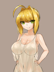 absurd_res alternate_breast_size busty cleavage curvy dress fate/extra fate/grand_order fate_(series) female highres nero_claudius_(fate) steamingtofu transparent_clothing