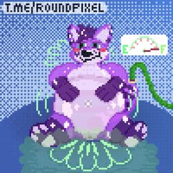 1:1 air_inflation anthro anus ass belly big_belly blush bodily_fluids canid canine digital_media_(artwork) fart fox hair hexafox hindpaw hose inflation male mammal paws pixel_art pool_toy pressure_gauge purple_body purple_hair roundpixel solo sweat