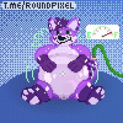 1:1 air_inflation anthro belly big_belly canid canine digital_media_(artwork) fox hair hexafox hindpaw hose inflation male mammal paws pixel_art pool_toy pressure_gauge purple_body purple_hair roundpixel solo