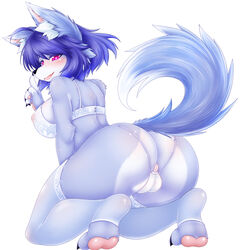 2021 5_fingers absurd_res alternate_version_at_source anthro anus ass big_breasts black_nose blue_body blue_fur blue_hair bra breasts camel_toe canid canine canis claws clothed clothing cute_fangs domestic_dog feet female finger_claws fingers fluffy footwear fur hair hi_res inner_ear_fluff kemono legwear lingerie looking_at_viewer looking_back mammal multicolored_body multicolored_ears multicolored_fur multicolored_tail nipple_outline nipples open_mouth panties pawpads paws pink_eyes short_hair simple_background solo syrup_(artist) thigh_highs toe_claws toeless_footwear toes translucent translucent_clothing tuft two_tone_body two_tone_fur underwear white_background white_body white_fur