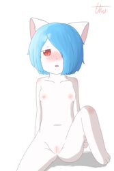 2:3 absurd_res barefoot blue_hair blush breasts canid domestic_cat feet felid feline felis female fur genitals hair hi_res kemono mammal nipples nude pink_inner_ear pink_nipples pink_pussy pussy ranlunghsu red_eyes short_hair sitting small_breasts solo spread_legs spreading white_body white_fur