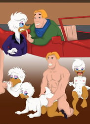 1boy 1boy1girl 1girls absurd_res anatid anseriform anthro avian bird breasts daisy_duck disney duck duo female hi_res human human_and_anthro interspecies male male/female mammal nipples pussy quack_pack soft_feathers tabaarus