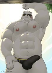 1boy abs absurd_res anthro black_underwear bulge clothing eyewear furry(gay) hi_res male male_focus male_only mammal musclegut muscular nipples obese odd_taxi overweight polar_bear sekiguchi_(odd_taxi) solahr solo sunglasses underwear ursid ursine