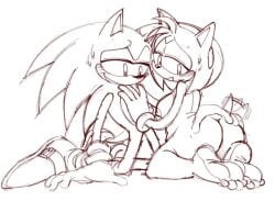 amy rose from sega by animation sensation