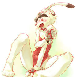 king_kazuma male_only summer_wars tagme