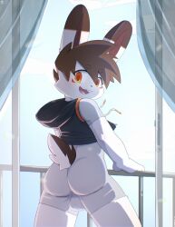 absurd_res anthro armwear backsack balls bottomless bottomless_male butt clothed clothing fur genitals hi_res himacat lagomorph legwear leporid long_ears male mammal orange_eyes rabbit rear_view sleeveless_hoodie solo stockings white_body white_fur