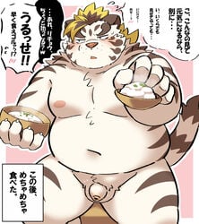 2021 anthro balls belly blush felid food fur genitals hi_res humanoid_hands japanese_text kemono licho_(tokyo_afterschool_summoners) male mammal moobs navel nipples overweight overweight_male pantherine penis ptcmtr sitting small_penis solo text tiger tokyo_afterschool_summoners video_games white_body white_fur