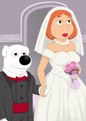 absurd_res anthro brian_griffin canine dog duo family_guy female fur hi_res human interspecies lois_griffin male male/female mammal tabaarus wedding_dress white_body white_fur zoophilia