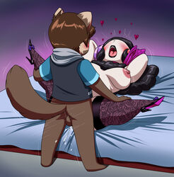 absurd_res adrian_(crovirus) animal_crossing anthro bed black_hair black_lipstick blush bodily_fluids bottomless_male bovid breasts brown_hair caprine clothed clothing crovirus duo female female_penetrated footwear fur furniture furry furry_only genital_fluids goth gulonine hair heart hi_res high_heels holding_legs hoodie legwear lipstick lying makeup male male/female male_penetrating male_penetrating_female mammal marten muffy_(animal_crossing) mustelid musteline nintendo on_back orgasm_face partially_clothed pattern_clothing pattern_legwear pattern_stockings penetration pine_marten pussy_juice scarf sheep spread_legs spreading stockings tail thrusting topless topless_female topwear vaginal_penetration video_games