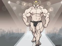 1boy 2020 2d 4:3 abs abstract_background animated anthro barazoku big_bulge big_muscles biped black_underwear blonde_eyebrows blonde_hair bouncing_bulge bulge canid canine canis cel_shading clothing deltoids digital_media_(artwork) eyebrows frame_by_frame fur gif green_eyes grey_body grey_fur hair light lighting looking_at_viewer loop male male_only mammal muscular muscular_anthro muscular_male navel nipples oldshep partially_clothed pecs pink_nipples plantigrade quads reflection runway shaded short_playtime signature simple_background solo spotlight underwear underwear_only walk_cycle walking wolf