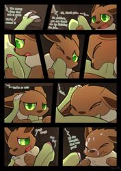 eevee from nintendo by infinitydoom