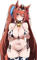 daiwa scarlet (umamusume) from umamusume by sylph kim
