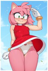 amy rose from sonic (series) by miragetheone