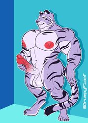 2021 absurd_res anthro balls big_muscles big_nipples big_pecs big_penis blue_background claws digitigrade erection felid fur genitals grumpyfloof hi_res humanoid_genitalia humanoid_penis male mammal masturbation muscular muscular_anthro muscular_male navel nipples nude pantherine pecs penile penile_masturbation penis simple_background solo standing text tiger tuft url vein