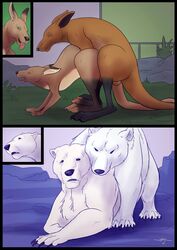 after_transformation balls blacktigerr claws duo female feral fur gender_transformation genitals hi_res human_to_feral kangaroo macropod male male/female mammal marsupial mtf_transformation paws polar_bear sex species_transformation transformation ursid ursine white_body white_fur