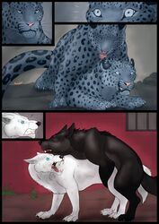 after_transformation blacktigerr canid canine canis claws duo fangs felid female feral forced fur gender_transformation hi_res human_to_feral male male/female mammal mtf_transformation pantherine paws rape sex snow_leopard species_transformation transformation white_body white_fur wolf