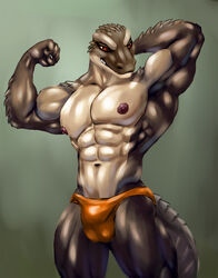 abs anthro balls_outline bleakcat briefs brown_speedo brown_underwear bulge clothed clothing detailed_bulge fist flexing flexing_bicep genital_outline gradient_background grin hand_behind_head invalid_tag lizard male male_only multicolored_body multicolored_scales muscular muscular_male navel nipples obliques pecs penis_outline pose quads red_eyes reptile scales scalie shiny_clothes shiny_underwear simple_background smile solo speedo standing teeth triceps two_tone_body two_tone_scales underwear underwear_only