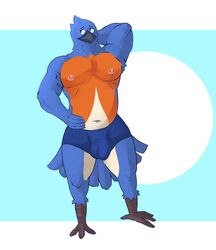 absurd_res anthro armpit_tuft avian beak bird blue_body blue_clothing blue_eyes blue_feathers blue_underwear bluebird briefs bulge clothed clothing detailed_bulge eastern_bluebird feathers flaccid genital_outline grey_beak hi_res male male_only navel neptune_mereaux nipples orange_body orange_feathers oscine overweight passerine penis_outline rickpenman shy slightly_chubby slightly_chubby_anthro slightly_chubby_male solo solo_male talons tan_body tan_feathers thrush_(bird) underwear underwear_only