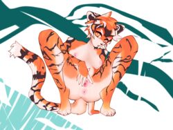 4:3 anthro arknights breasts crouching felid feline female game_(disambiguation) hair hypergryph invalid_tag kemono mammal moonrick multicolored_body nipples nude orange_eyes orange_hair pantherine pose short_hair sitting solo stripes studio_montagne tiger video_games waai_fu_(arknights)