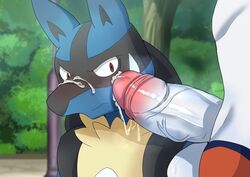 angry angry_face cinderace cum cum_on_body cum_on_face facial gay humanoid_penis lucario male male/male male_only nintendo nudge penis pokemon pokemon_(species) spike yaoi yukihoshiak