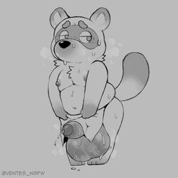 1:1 2021 absurdres animal_crossing anthro apron belly big_testicles bodily_fluids canid canine furry genitals highres male male_only mammal monochrome moobs navel nintendo nipples overweight overweight_male raccoon_dog simple_background solo sweat tanuki testicles tom_nook ventesthefloof