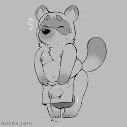 1:1 2021 absurdres animal_crossing anthro apron belly bodily_fluids bulge canid canine closed_eyes detailed_bulge furry genital_fluids genital_outline genitals highres male male_only mammal monochrome moobs navel nintendo nipples overweight overweight_male penis_outline precum raccoon_dog simple_background solo sweat tanuki testicles tom_nook ventesthefloof