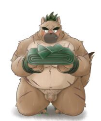 2021 anthro balls belly big_belly blush brown_body brown_fur canid canine canis domestic_dog edit flaccid fur genitals green_hair hair hi_res kemono male mammal mind_drive mizuse_higomaru moobs overweight overweight_anthro overweight_male penis scar simple_background solo tokyo_afterschool_summoners uncensored video_games white_background yasuyori