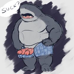 1:1 absurd_res animal_genitalia animal_penis anthro boxers_(clothing) clothing cocoronut colored dc_comics dialogue diphallia diphallism fish gay genitals hemipenes hi_res king_shark male male_focus male_only marine multi_genitalia multi_penis obese open_mouth overweight overweight_male penis shark shark_humanoid slightly_chubby solo solo_male tagme underwear