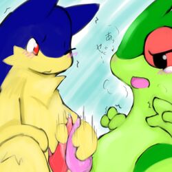 ardest color erection flygon furry furry_only gay handjob interspecies male male_only multiple_males nintendo no_humans nude penis pokemon pokemon_(species) straight_hair typhlosion yaoi