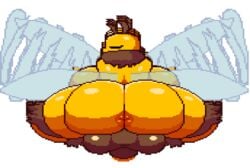 1futa 2d 2d_animation animated antennae anthro anus ass bee big_breasts big_penis blinking bouncing_ass bouncing_balls bouncing_breasts bouncing_penis butt color colored futa_only futanari large_breasts looking_at_viewer looking_back pancaketomo penis pixel_animation pixel_art queen_bee_(terraria) solo terraria thick_thighs transparent_background wide_hips wings