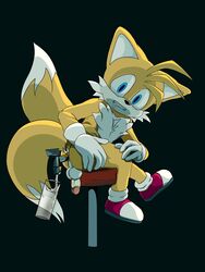 anal_insertion anal_object_insertion anitwenty dipstick_tail enema fox male male_only solo solo_male sonic_(series) tails