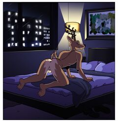 2021 33xtc absurd_res all_fours anthro antlers anus ass backsack balls beastars bed border cervid cervine detailed_background furniture genitals grin hi_res horn lamp looking_at_viewer looking_back looking_back_at_viewer louis_(beastars) male male_only mammal night nude on_bed presenting presenting_anus presenting_hindquarters rear_view red_deer smile solo white_border