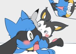 absurd_res anal anal_sex bodily_fluids cum cum_in_ass cum_inside duo ejaculation emolga feral genital_fluids hi_res hugo_the_riolu male male/male nintendo penetration pokémon_(species) pokemon quentinmimikyu riolu surprise surprise_sex video_games view_from_below