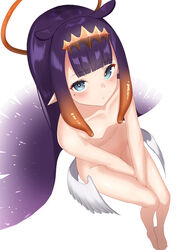 ninomae ina'nis from hololive