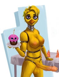 1futa 2021 animatronic avian balls bird breasts chica_(fnaf) chicken duckhere five_nights_at_freddy's furniture futa_only futanari galliform gallus_(genus) genitals gynomorph hi_res intersex inverted_nipples machine nipples orange_eyes penis phasianid purple_eyes robot standing table tablecloth video_games white_sclerea yellow_body