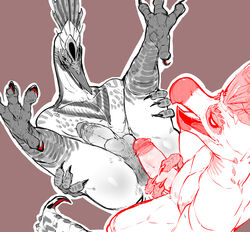 2021 aknosom anthro anthro_on_anthro anus ass balls beak bird_feet bird_wyvern bodily_fluids capcom custapple erection genitals hand_on_penis head_crest head_feathers hi_res humanoid_genitalia humanoid_penis imminent_sex kulu-ya-ku lying male male/male monster_hunter monster_hunter_rise on_back penis pink_background retracted_foreskin simple_background sweat sweatdrop video_games