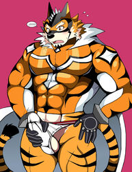 abs anthro bearlovestiger13 clothing felid fur genitals hi_res live-a-hero male mammal mask muscular muscular_anthro muscular_male pantherine pecs penis ryekie_(live_a_hero) solo spandex superhero tiger tight_clothing video_games