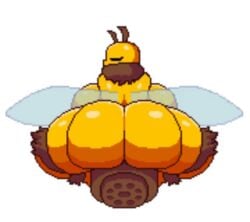 animated ass_focus bee big_ass furry looking_back massive_ass pancaketomo queen_bee_(terraria) terraria terraria_(lewdrraria) terraria_(workshop) voluptuous