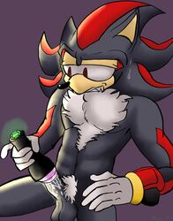 Sonic (Series) Rule 34 Image