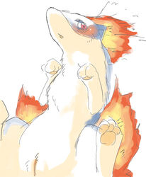 3_toes blush color female female_only fore front_view fur nintendo nude open_eyes paws pokemon pokemon_(species) quilava red_eyes solo tagme vulva